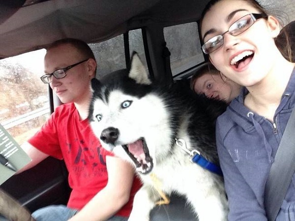 selfie-huski