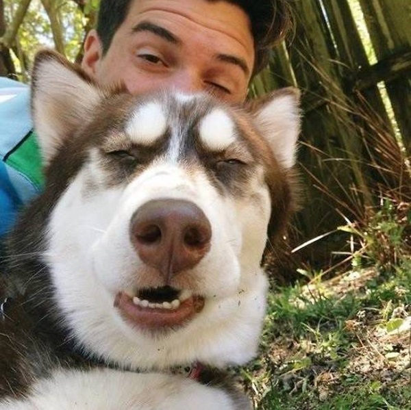 selfie-kopek4
