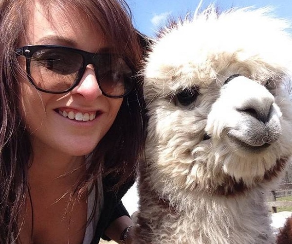 selfie-lama