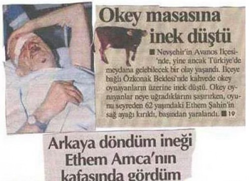 okey-masasina-inek-dustu