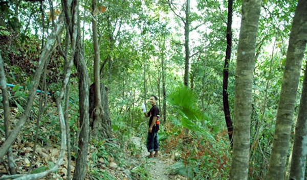 trekking