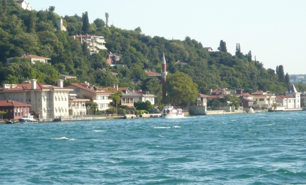 vanikoy