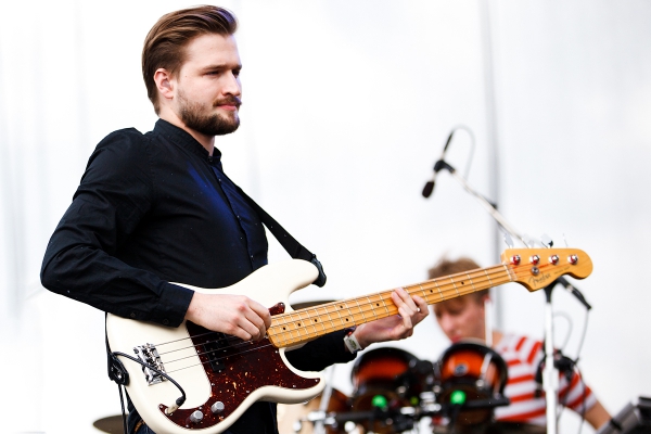 wild beasts