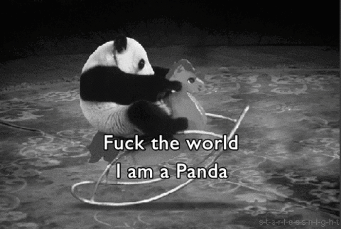 Panda_Fuck_The_World