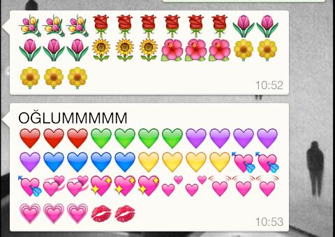 anne-ogul-whatsapp