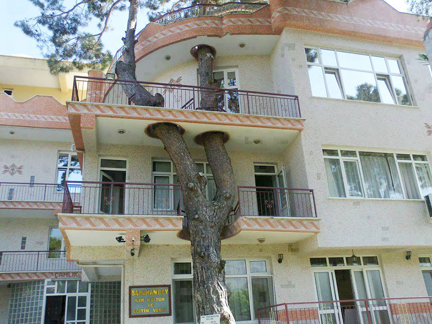 agaclar-kesilmesin-turkiye