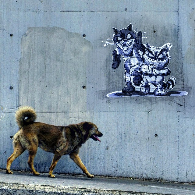 Kötü Kedi Şerafettin�in Çizeri Bülent Üstün�den Sıradan Eşyaların Aşırı