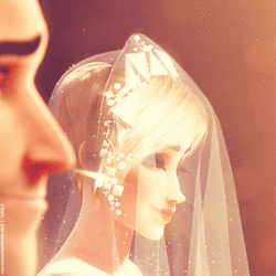 shrek wedding