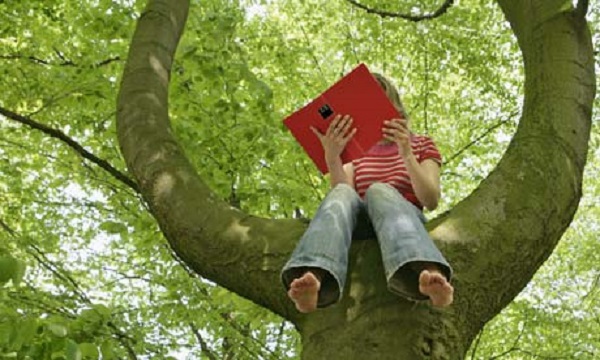 tree-kid-book