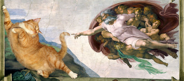 Michelangelo kedi