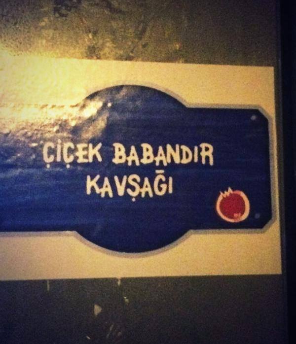 ankara-cicek