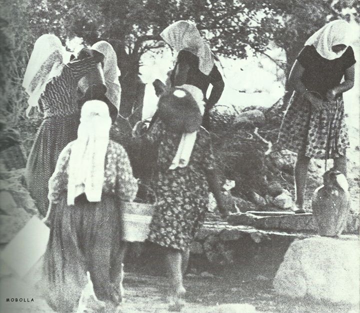 bodrum koy