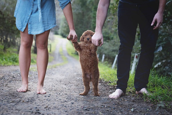 couple-newborn-dog