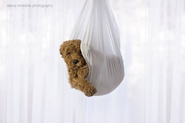 couple-newborn