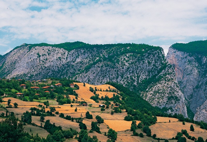cuneyt oguztuzun 3
