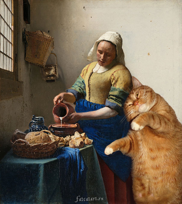 kedi mutfak