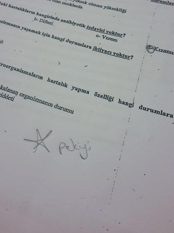 Yildizli_Pekiyi