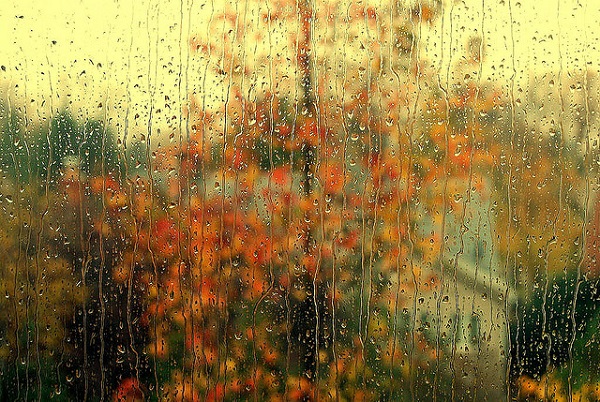 rainy day