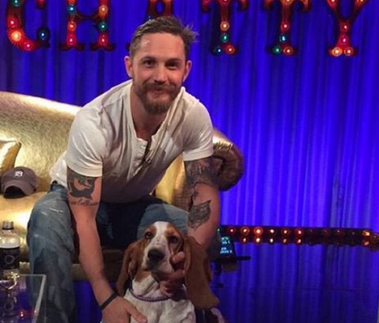tom hardy dogs