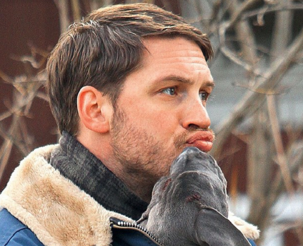 tom hardy dudak