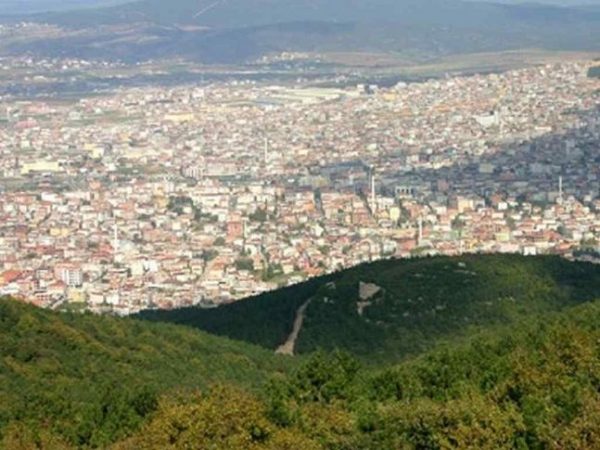 izmir orman