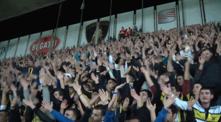 tribun-alkis