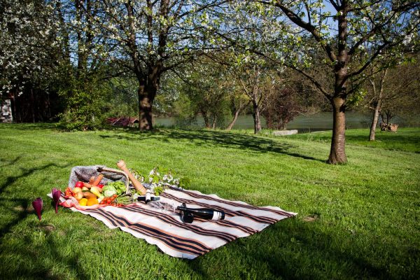3.piknik.yapma.istegijpg