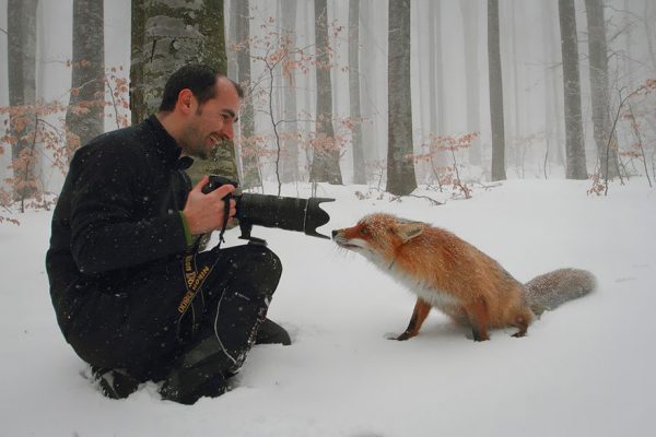doga fotografcisi