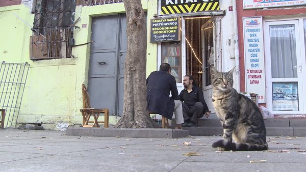 istanbul-sahaf