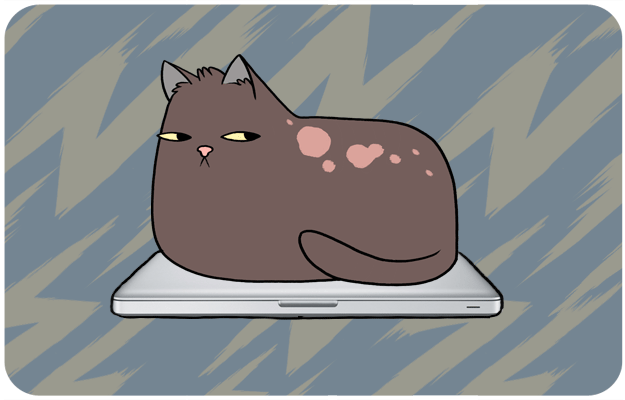 kedi-bilgisayar
