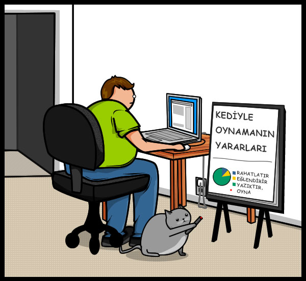 kedi oyun 8