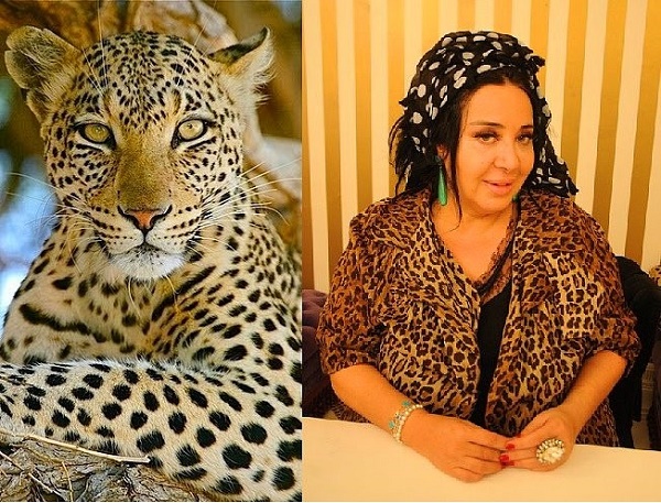 nur-yerlitas-leopar-benzetmesi