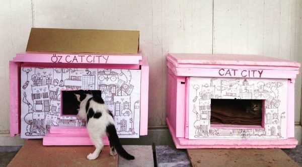 15.catyorkcity