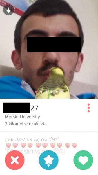 8.hayvan.sevgisi.tind