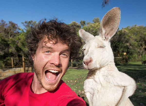 funny-animal-selfies-allan-dixo