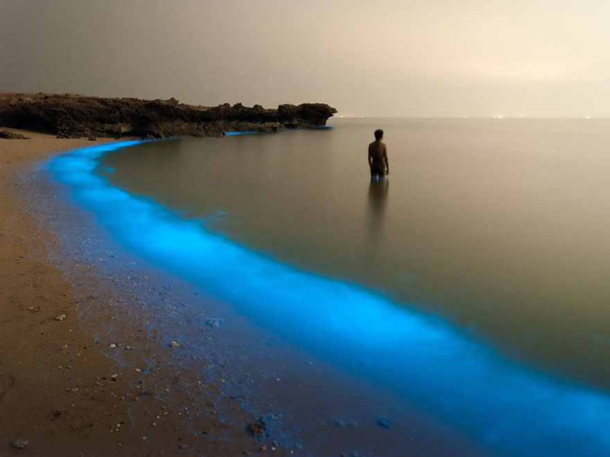 national-geographic-photo-of-the-d