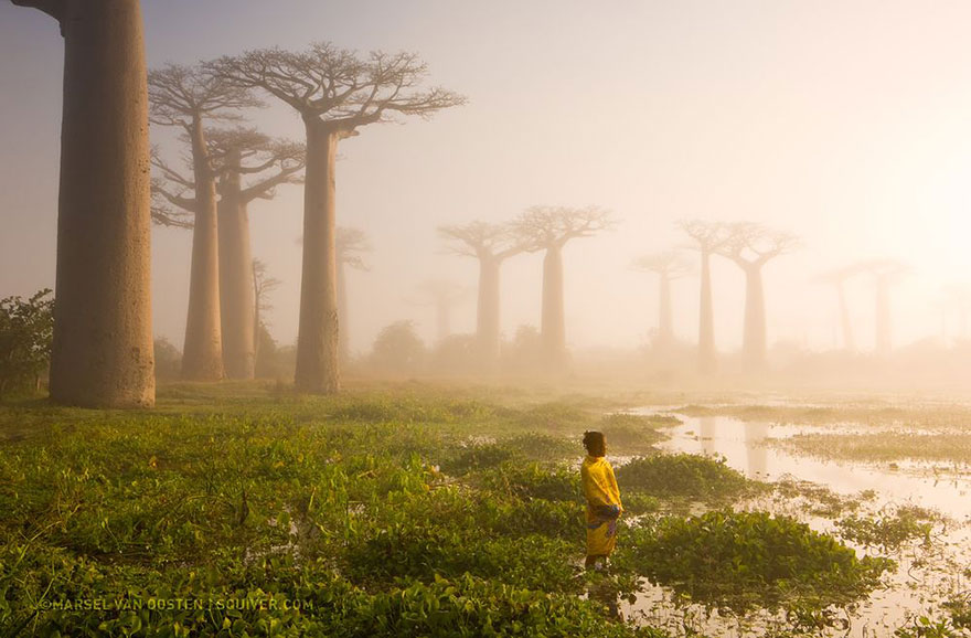 national-geographic-photo-of-the-day-interne