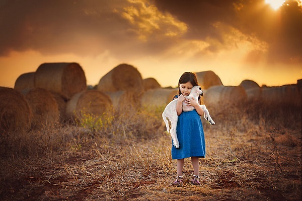 photographers-from-all-over-the-world-capture-amazin