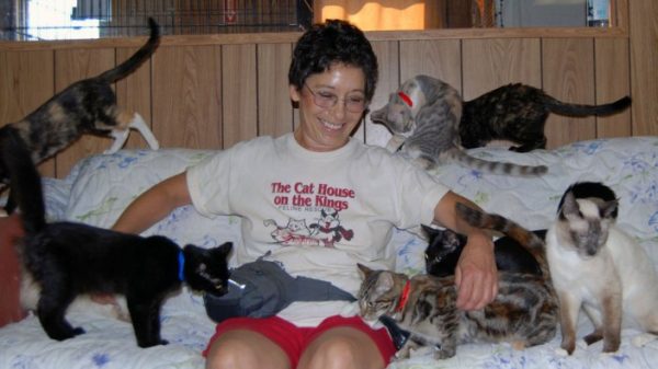 Gerçek Bir Kedi Bağımlısı Olduğunuzun 21 Miyavsal Kanıtı
