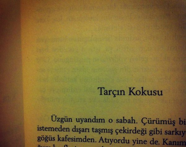 sen.ey.fisiltili.sarki.ardinda