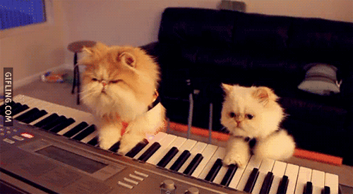 catpiano