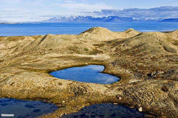 subat4. Borebukta Golu-Norvec