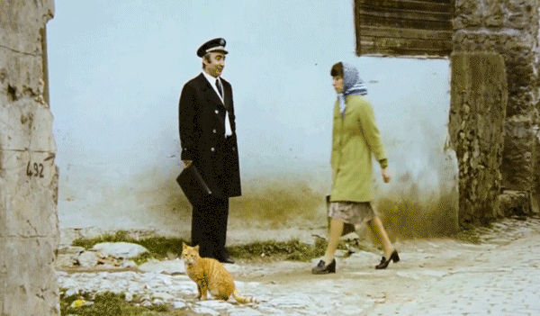 cinemagraph-project-of-the-old-turkish-movies-living-photos-2__605