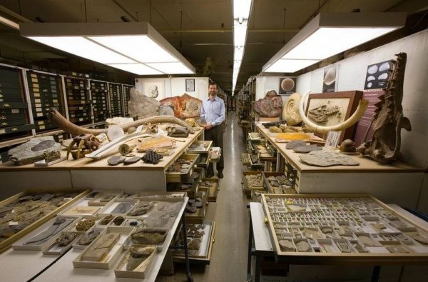 paleontoloji-muze