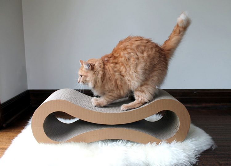 Kediler İçin Yapılmış 18 Tasarım Harikası Kedi Mobilyası
