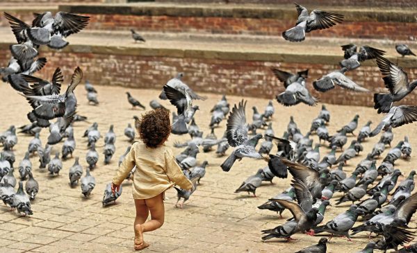 Kid-chasing-pigeons-in-Kathmandu1