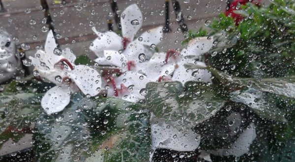 9. Yağmur Taneleri