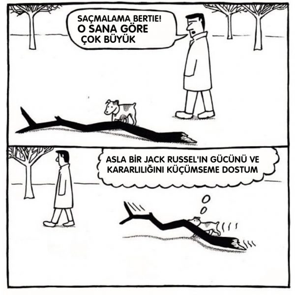 9jack-russell