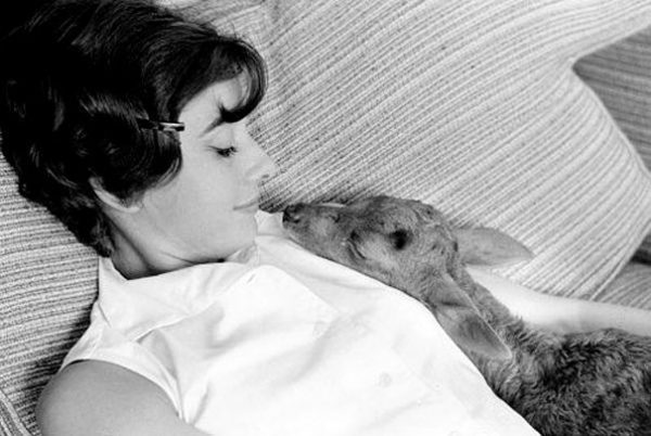 audrey-hepburn-11