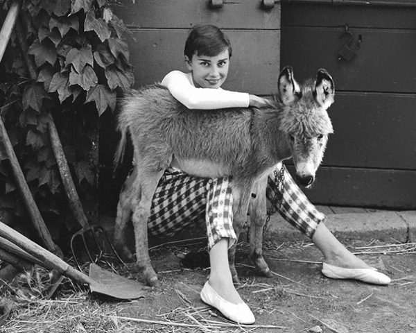audrey-hepburn-2